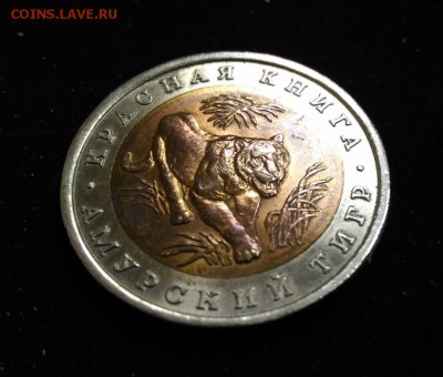 Амурский Тигр. 92г. 10р.Красная Книга. до 9.10.2018 в 22,02 - P_20181004_142916