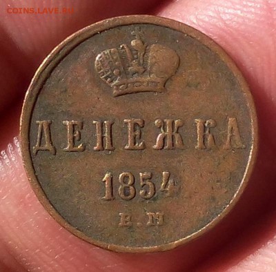 ДЕНЕЖКА 1854г ВМ, ЕМ? светлой коричневая до 09.10.18 - IMG_20100207_003339.JPG