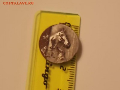Голова лошади - DSCN0276[1].JPG