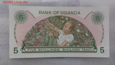 Уганда 5 шиллингов 1982 г UNC  до 11.10 в 21-30 мск - ........18.11.2015.....ггг 338.JPG