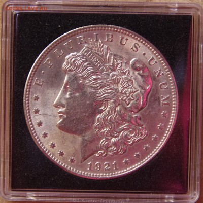 1 - IMGP2202.JPG