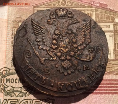 5 копеек 1782 ЕМ до 10 октября 22-00 - A32401CB-485E-4AE4-949B-0B26400D6557