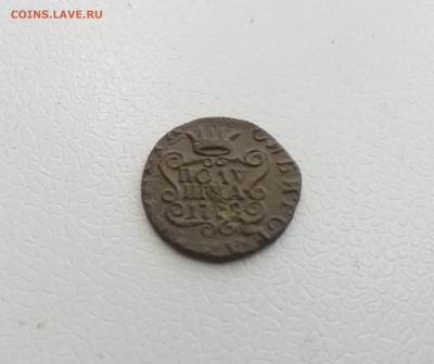 полушка 1779 км Сибирская - IMG_20181009_152527