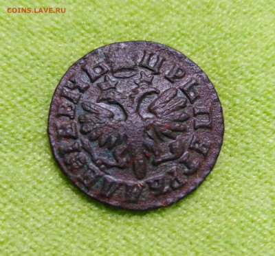 ДЕНГА 1712 года (повторно после чистки). - Денга-2