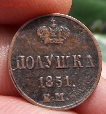 Полушка 1851 ЕМ до 15.10.2018 22.00 МСК - 20181010_153725