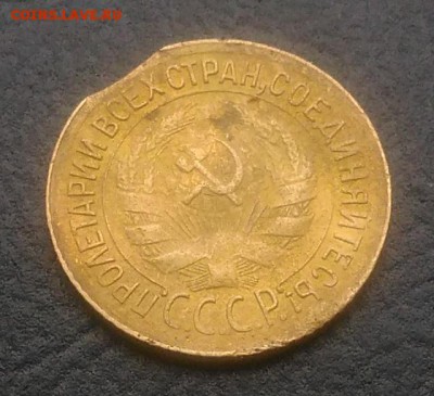 1 копейка 1931 выкус по ФИКСУ - IMG_20181002_130909