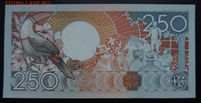 СУРИНАМ 250 гульденов 1988г., ДО 15.10. - 250 гульденов 1988г. В..JPG