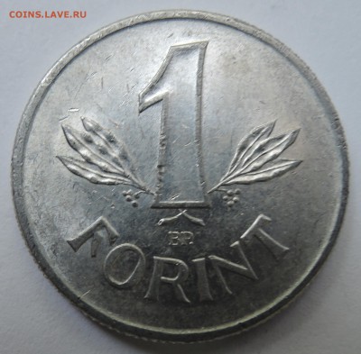 ВЕНГРИЯ-1  форинт  1988 г. до 18.10 в 22:00 - DSCN2663.JPG