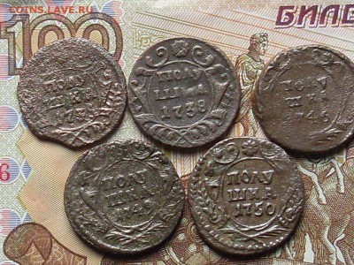 полушка 1735.38.46.49.50 до 15 10 18 22-00 мск - SL380012.JPG