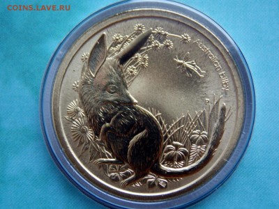 Австралия 1 доллар,  Детёныши диких животных - Бандикут - DSCN7286 (1280x960)