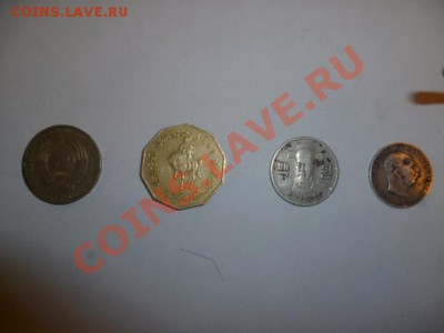 Что это такое ? оцените. - P1000664.JPG
