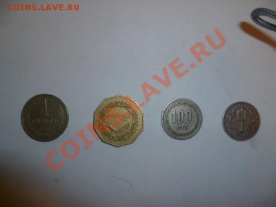 Что это такое ? оцените. - P1000663.JPG