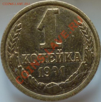 1 копейка 1991 год - P1030207.JPG