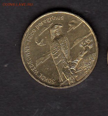 Польша 2008 2зл птицы - 93