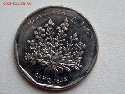 Кабо-Верде 20 эскудо, Растения - Limonium braunii - DSCN7242 (1280x960)