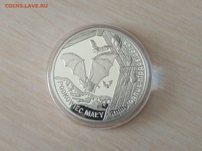 ПОЛЬША,20 злотых 2010г(Летучая мышь)до 16.10.2018 - IMG_20181013_112536