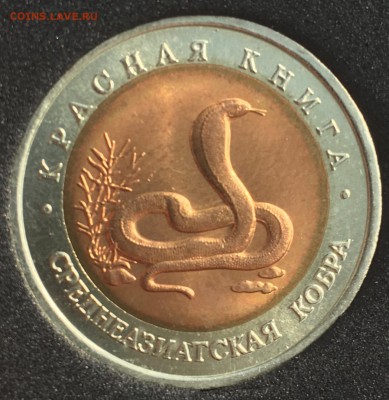 Красная книга 1991,92 гг.4 Монеты UNC (короткий) - F96CF226-B58E-4FB3-B82B-9A79838610AC