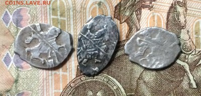 3 чешуйки на определение - IMG_1471.JPG