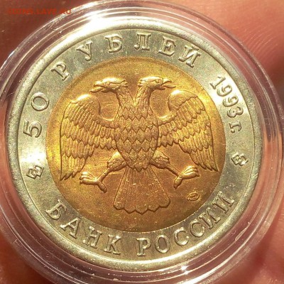 50 рублей 1993г Черноморская Афалина UNC до 15.10.18 - IMG_20100213_225620.JPG