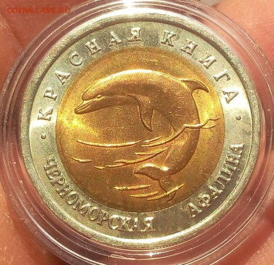50 рублей 1993г Черноморская Афалина UNC до 15.10.18 - IMG_20100213_225551.JPG