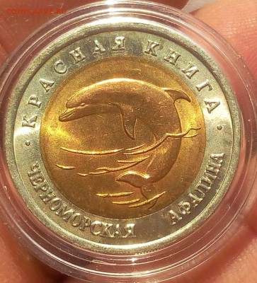 50 рублей 1993г Черноморская Афалина UNC до 15.10.18 - IMG_20100213_225519.JPG