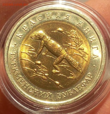 50 рублей 1993г Туркменский Зублефар UNC до 15.10.18 - IMG_20100213_225921.JPG