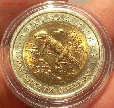 50 рублей 1993г Туркменский Зублефар UNC до 15.10.18 - IMG_20100213_225858.JPG