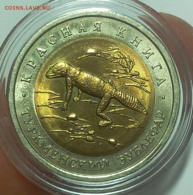 50 рублей 1993г Туркменский Зублефар UNC до 15.10.18 - IMG_20100214_000530.JPG