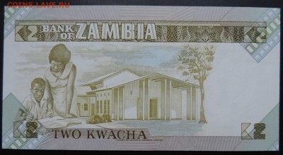 ЗАМБИЯ 2 квача 1980-88гг., ДО 19.10. - 2 квача 1980-88гг., В..JPG