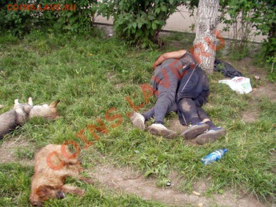 Конкурс - стихоплет ....... - 214_show