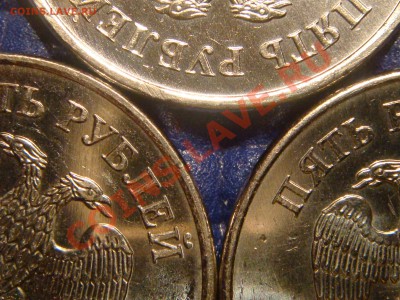 5 рублей 2010 ММД А-Б-В это они!?!? - DSC04890.JPG