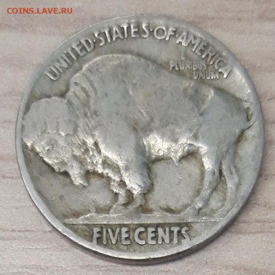 5 центов США 1935 P, "Buffalo", до 19.10 - 1935-1