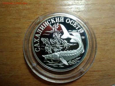 1 рубль 2001 года Cахалинский осетр Красная книга - IMG_20181017_181138