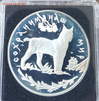 3 р. 1995. Рысь. До 23.10.2018 в 22.22 - 20181003_181631