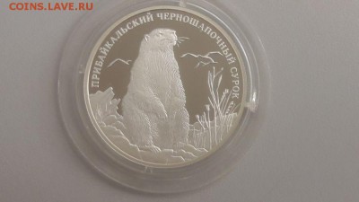 2р 2008г Сурок- пруф серебро Ag925, до 24.10 - X Сурок-1