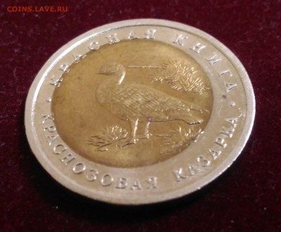 Брак. Краснозобая Казарка. 92г Кр. Кн. до 21.10.2018 в 22,02 - P_20181016_145258