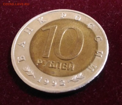 Брак. Краснозобая Казарка. 92г Кр. Кн. до 21.10.2018 в 22,02 - P_20181016_145330