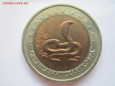 С 200 КК 1992 КОБРА 10 руб. до 21.10.18 в 22:30 - IMG_4029.JPG