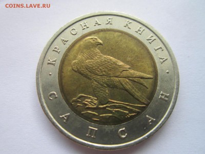 С 200 КК 1994 САПСАН 50 руб. до 21.10.18 в 22:30 - IMG_4043.JPG