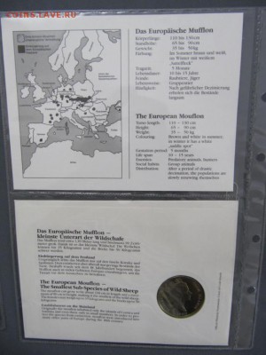 КПД Крона Шайба Острова Кука 5$ долларов 1990 муфлон - kpd_krona_shajba_ostrova_kuka_5_dollarov_1990_evropejskij_muflon_vymirajushchie_vidy_fauna_zhivotnye (4)