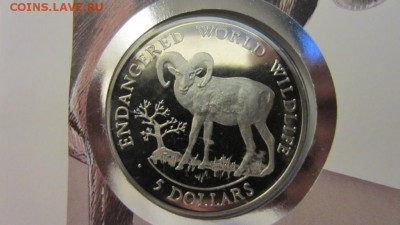 КПД Крона Шайба Острова Кука 5$ долларов 1990 муфлон - kpd_krona_shajba_ostrova_kuka_5_dollarov_1990_evropejskij_muflon_vymirajushchie_vidy_fauna_zhivotnye (1)