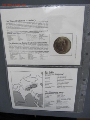 КПД Крона Шайба Острова Кука 5$ долларов 1992 бык такин - kpd_krona_shajba_ostrova_kuka_5_dollarov_1992_gimalajskij_takin_vymirajushchie_vidy_fauna_zhivotnye_bukle (3)