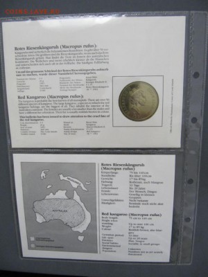 КПД Крона Шайба Острова Кука 5$ долларов 1991 кенгуру - kpd_krona_shajba_ostrova_kuka_5_dollarov_1991_krasnyj_kenguru_vymirajushchie_vidy_fauna_zhivotnye_buklet (4)