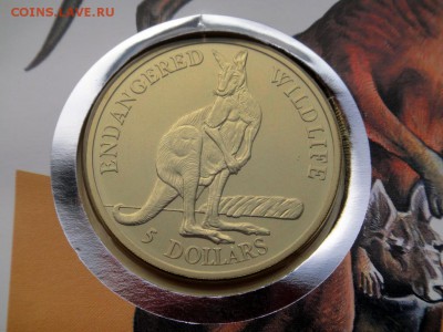 КПД Крона Шайба Острова Кука 5$ долларов 1991 кенгуру - kpd_krona_shajba_ostrova_kuka_5_dollarov_1991_krasnyj_kenguru_vymirajushchie_vidy_fauna_zhivotnye_buklet (1)