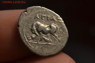 Драхма,Иллирия , 229-100 гг. до н.э. Серебро - CSC_0342 (1).JPG