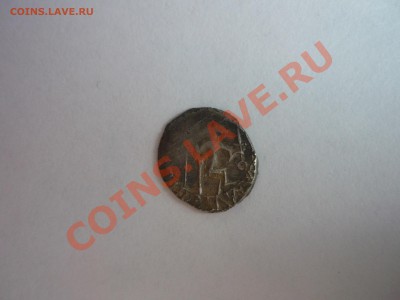 Чешуйка на опознание - P1000662.JPG