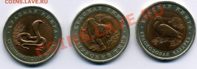 набор красная книга 1992г (3 монеты) до 19.05.11 - img016
