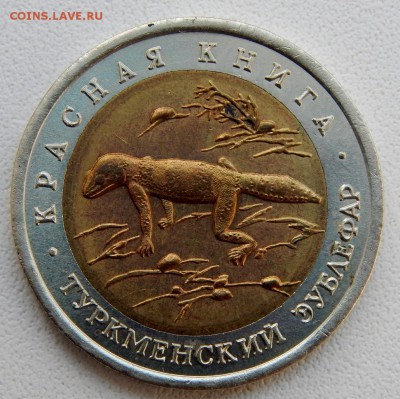 50 рублей 1993 КК ТУРКМЕНСКИЙ ЭУБЛЕФАР до 22.10.18 - DSCN0196.JPG