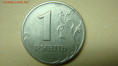 Вопросы по разновиднстям от сахарок - DSC07132.JPG
