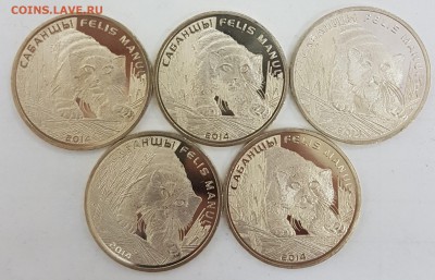 Казахстан 5 монет Манул с 200р до 23.10.2018 в 22.00 - ман